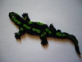 lézard/ salamander/ lizard